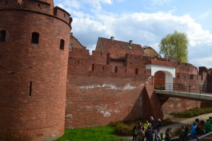 20170424_100554-300x168.jpg 17