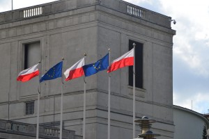 20170424_100554-300x168.jpg 17