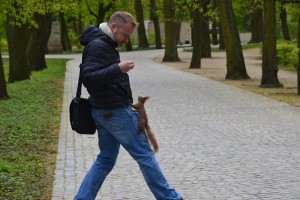 20170424_100554-300x168.jpg 17