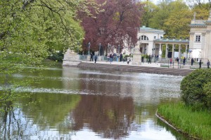 20170424_100554-300x168.jpg 17