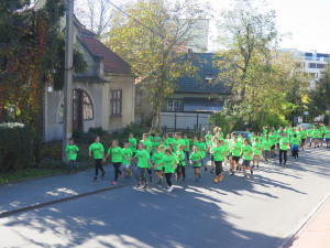 22499143_1198240493654333_4991328760028500160_o-300x225.jpg 5