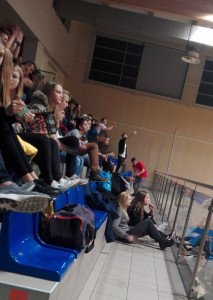 IMG-20171109-WA0001-300x225.jpg 7