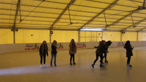 20180126_110807-300x168.jpg 10