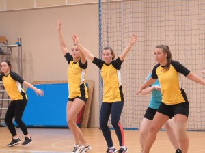 27503161_1268804529931262_8584079825381298515_o1-300x224.jpg 7