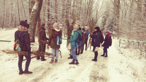 20180301_111452-300x168.jpg 12