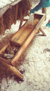 20180301_111452-300x168.jpg 12