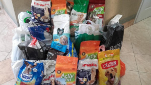 20180301_111452-300x168.jpg 12