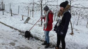 20180301_111452-300x168.jpg 12