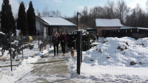 20180301_111452-300x168.jpg 12