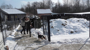 20180301_111452-300x168.jpg 12