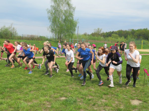 30420149_1325923537552694_4305287229667295979_o-300x224.jpg 7