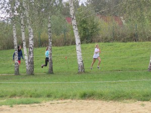 43146178_1474082156070164_5693551227606925312_o-300x224.jpg 9