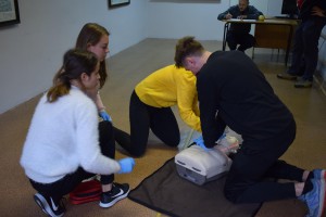 DSC_0015-300x200.jpg 21