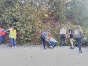 IMAG0466-300x169.jpg 7