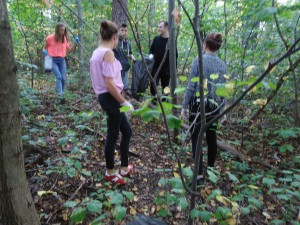 IMAG0466-300x169.jpg 7