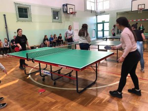 received_262949227748132-300x225.jpeg 9