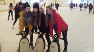 20190208_104138-300x168.jpg 7