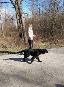 IMAG0096-222x300.jpg 7