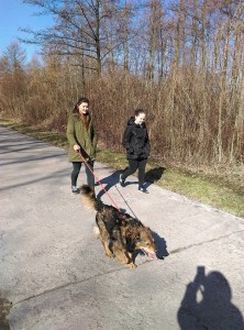 IMAG0096-222x300.jpg 7