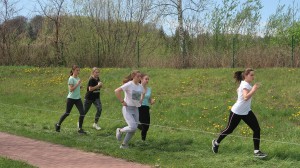 57798812_1638236746321370_1966660800374374400_o-300x168.jpg 7