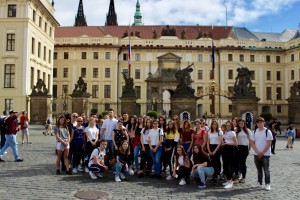 C4C259EB-EA0F-44B0-875A-E790BC1F763C-300x199.jpeg 3