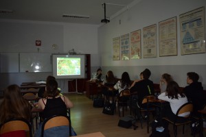 DSC_0432-300x200.jpg 3