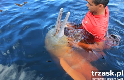 Spotkanie z podr&oacute;żnikiem - Amazonia 2