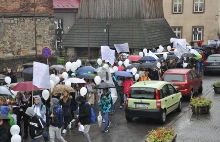 Protest Białych Serc 2