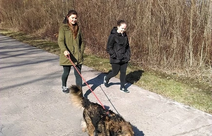 " Pomagamy zwierzętom" - akcja ekologiczna 11