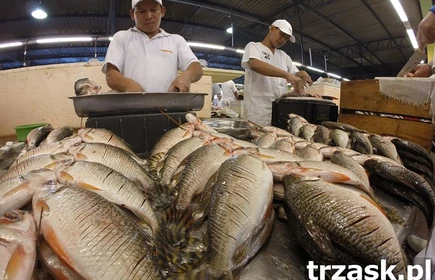 Spotkanie z podr&oacute;żnikiem - Amazonia 6