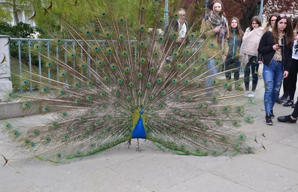 Wycieczka do Warszawy 30