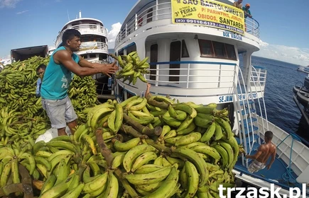 Spotkanie z podr&oacute;żnikiem - Amazonia 4