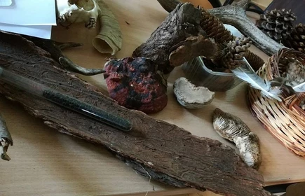 &bdquo;R&oacute;żnorodność biologiczna w powiecie bocheńskim&rdquo; 4