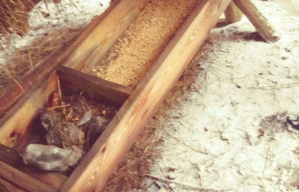 " Pomagamy zwierzętom" - akcja ekologiczna 23