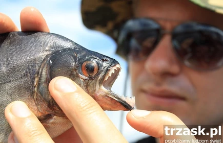 Spotkanie z podr&oacute;żnikiem - Amazonia 1