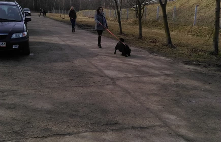 Uczennica na spacerze z psem ze schroniska