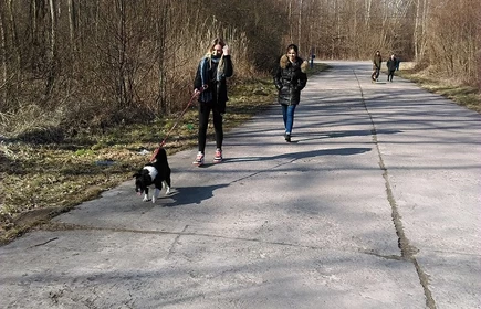 " Pomagamy zwierzętom" - akcja ekologiczna 9