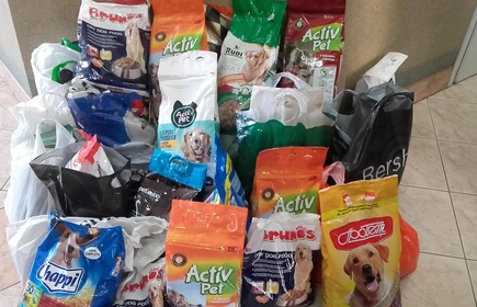 " Pomagamy zwierzętom" - akcja ekologiczna 18