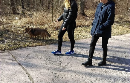 " Pomagamy zwierzętom" - akcja ekologiczna 12