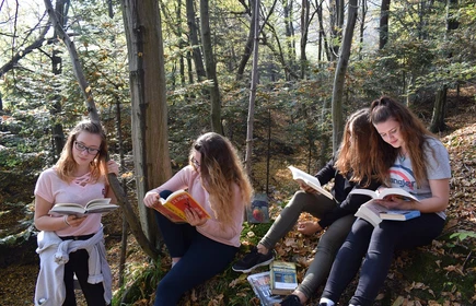 Jesiennie o książkach&hellip; Rozdziele 2017 r. 5