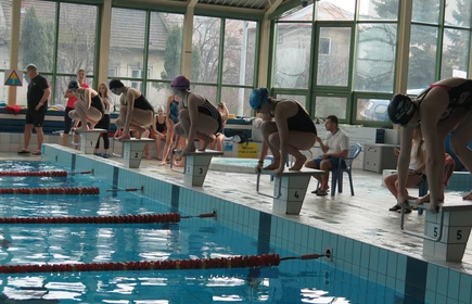 Zawody Powiatowe w Pływaniu 12