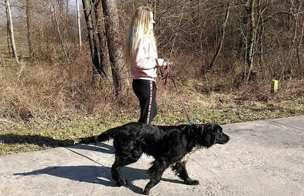 " Pomagamy zwierzętom" - akcja ekologiczna 8