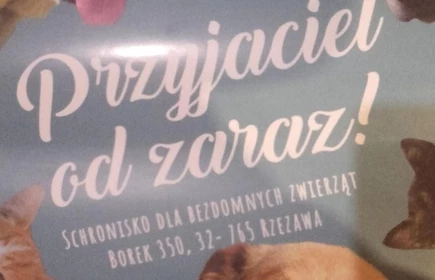 " Pomagamy zwierzętom" - akcja ekologiczna 24