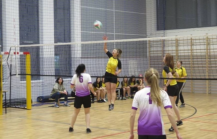 Dziewczęta z Ekonomika Mistrzyniami Powiatu w Siatk&oacute;wce. 9