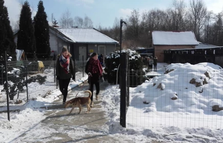 " Pomagamy zwierzętom" - akcja ekologiczna 15