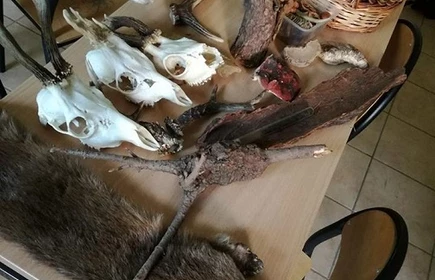 &bdquo;R&oacute;żnorodność biologiczna w powiecie bocheńskim&rdquo; 3