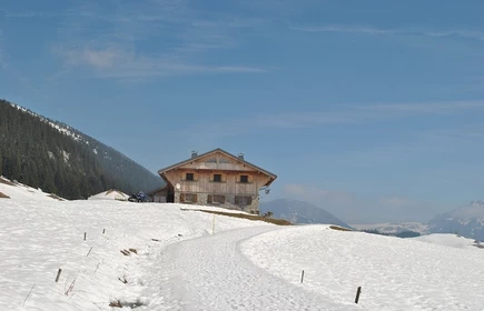 Mont Blanc 8