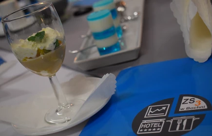 Podsumowanie projektu Artysta w kuchni 8