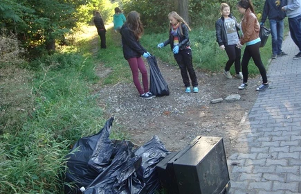 ,,Sprzątanie Świata &ndash; Polska 2013&rsquo; 14