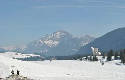 Mont Blanc 7